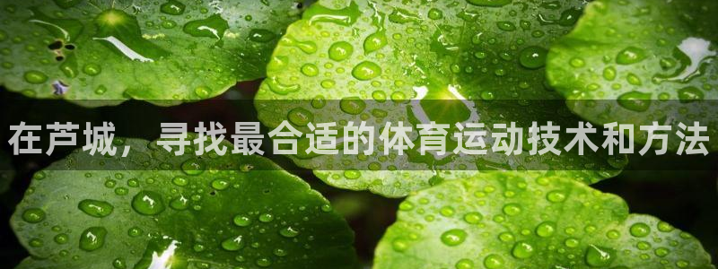J9官网下载平台注册流程视频：在芦城，寻找最合适的体
