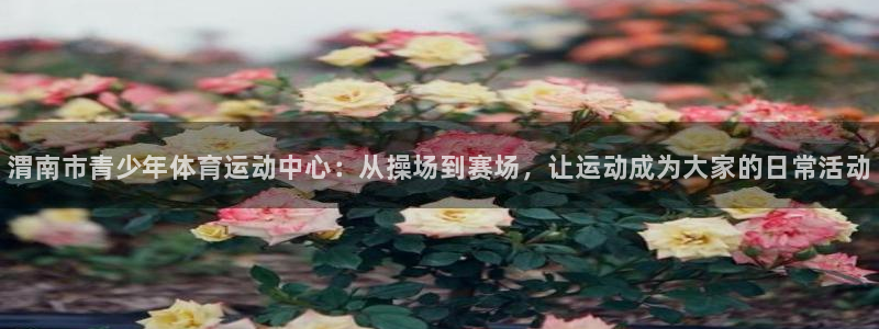 J9官网下载平台假的吗是真的吗吗：渭南市青少年体育运
