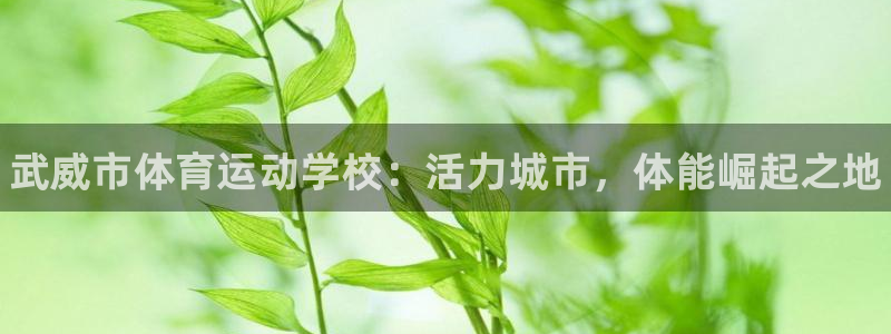 J9官网下载平台：武威市体育运动学校：活力城市，体能