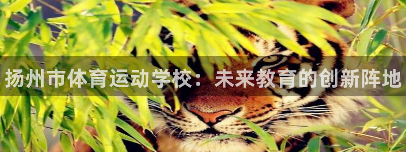 注册J9官方正版app：扬州市体育运动学校：未来教育