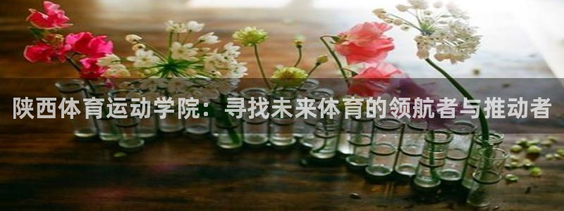 J9官网下载联系电话：陕西体育运动学院：寻找未来体育
