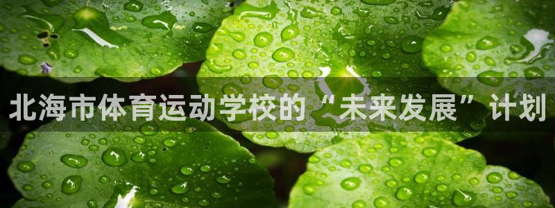 J9官网下载官方客服电话：北海市体育运动学校的“未来