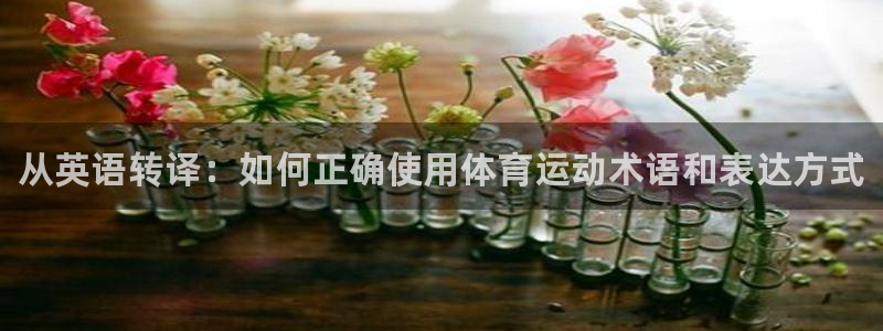海南J9官网下载发展怎么样：从英语转译：如何正确使用
