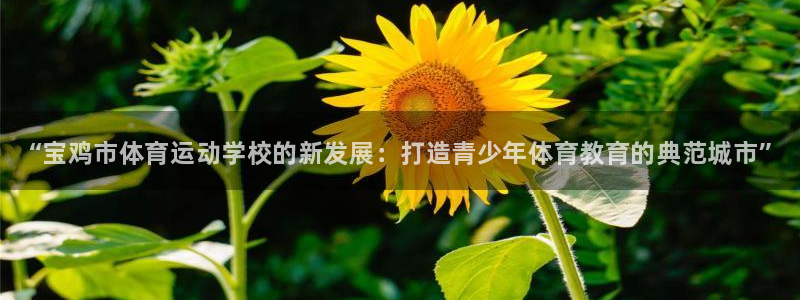 J9官网下载招商电话地址查询：“宝鸡市体育运动学校的