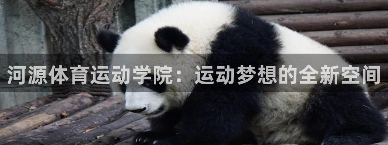 J9官网下载招商电话号码查询是多少：河源体育运动学院：运动梦