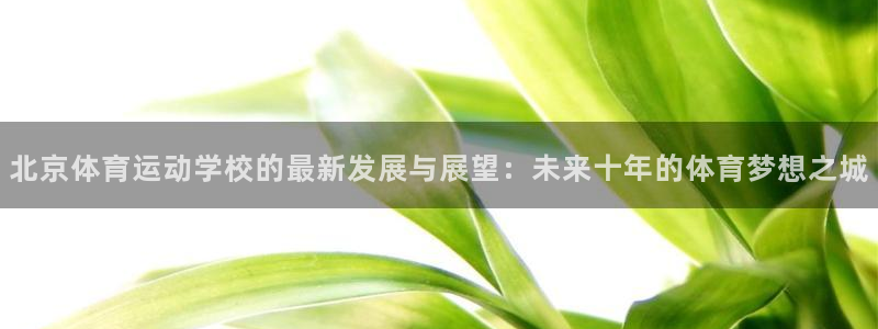 J9官方正版app娱乐首页网站大全：北京体育运动学校