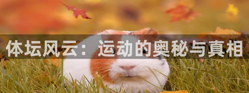 J9官网下载平台注册要钱吗是真的吗：体坛风云：运动的