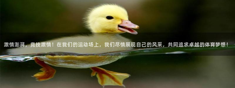 J9官方正版app官网：激情澎湃，竞技激情！在我们的