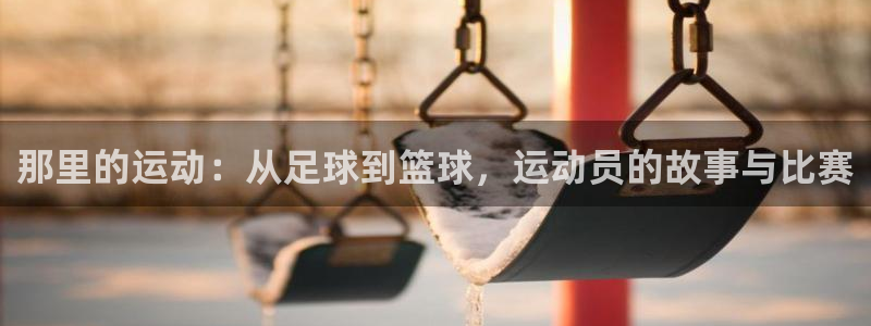 J9官方正版app代理：那里的运动：从足球到篮球，运