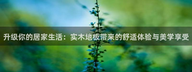 海南J9官网下载