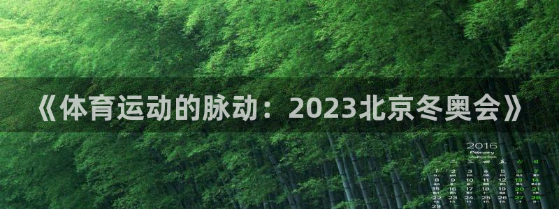 J9官网下载招商电话号码是多少啊：《体育运动的脉动：2023