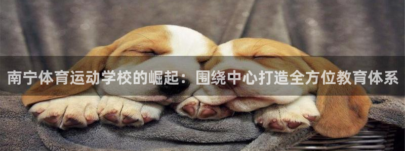 J9官方正版app集团官网首页网址