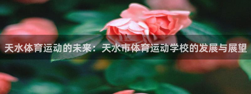 J9官方正版app娱乐网站