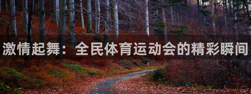 J9官方正版app官方
