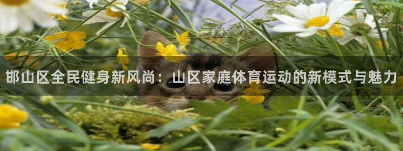 J9官网下载招商电话：邯山区全民健身新风尚：山区家庭体育运动