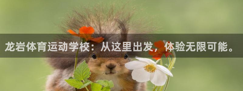 J9官方正版app官方：龙岩体育运动学校：从这里出发，体验无