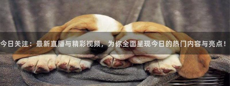 nba直播jrkan：今日关注：最新直播与精彩视频，为你全面呈现今日的热门内容与亮点！