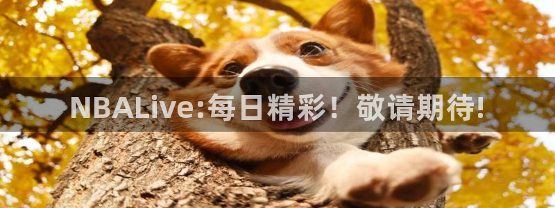 jrkan直播nba：NBALive:每日精彩！敬请期待!
