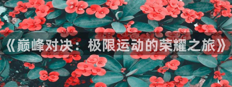 J9官方集团官网：《巅峰对决：极限运动的荣耀之旅》