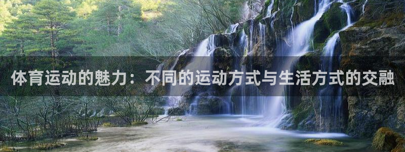 J9官网下载平台注册流程图：体育运动的魅力：不同的运动方式与