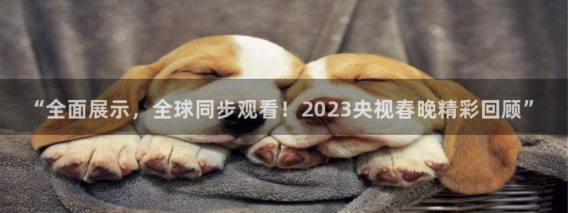 jrkan体育在线直播免费观看