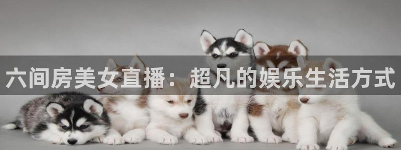 jrkan直播体育网nba