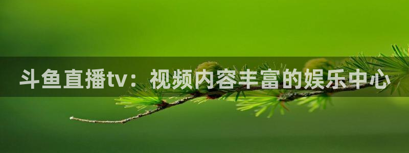 新闻图片