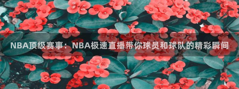 jrkan2023直播体育网：NBA顶级赛事：NBA极速直播带你球员和球队的精彩瞬间